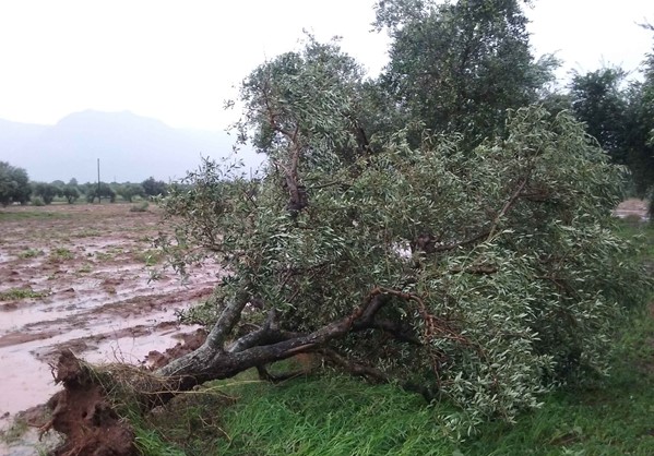 Η αρχή μιας βροχερής περιόδου