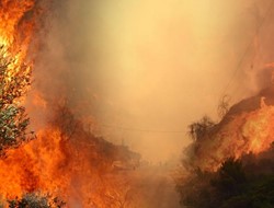 Στις φλόγες παραδόθηκε η Χαλκιδική