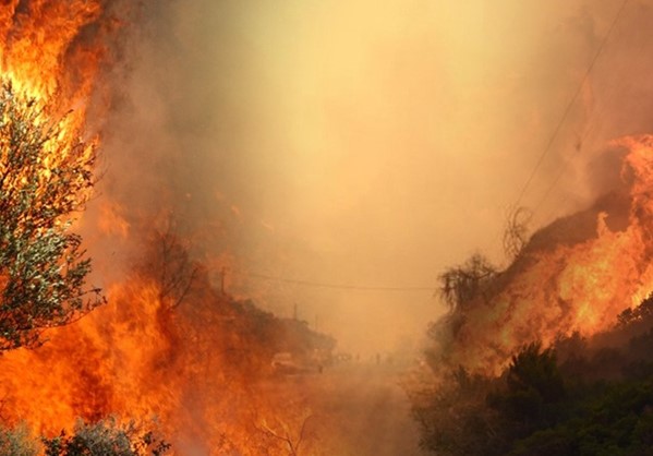 Στις φλόγες παραδόθηκε η Χαλκιδική