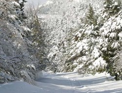 Αναλυτικά Ο Καιρός Για Σήμερα Τρίτη 10.02.15