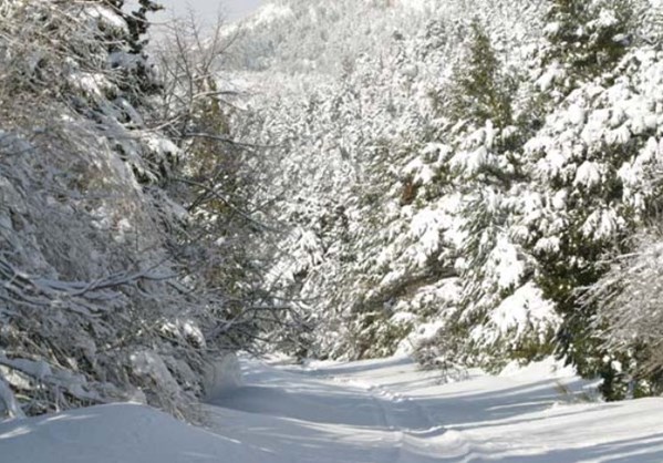 Αναλυτικά Ο Καιρός Για Σήμερα Τρίτη 10.02.15