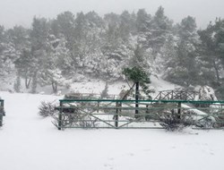 Καταγράφεται ιστορικό ρεκόρ χιονιάδων