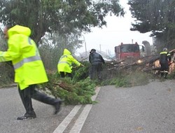 Ανεμοστρόβιλος χτύπησε τη Ζάκυνθο