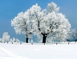 Η ομορφιά του χειμώνα σε 20 φωτογραφίες από όλον τον κόσμο.