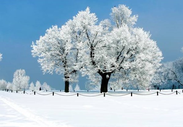 Η ομορφιά του χειμώνα σε 20 φωτογραφίες από όλον τον κόσμο.