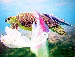 Σχεδόν 33.000 τόνους ετήσια κατανάλωση σακούλας στην Ελλάδα