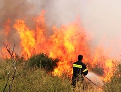 Ενισχύονται οι δυνάμεις της πυροσβεστικής στη Νεμέα