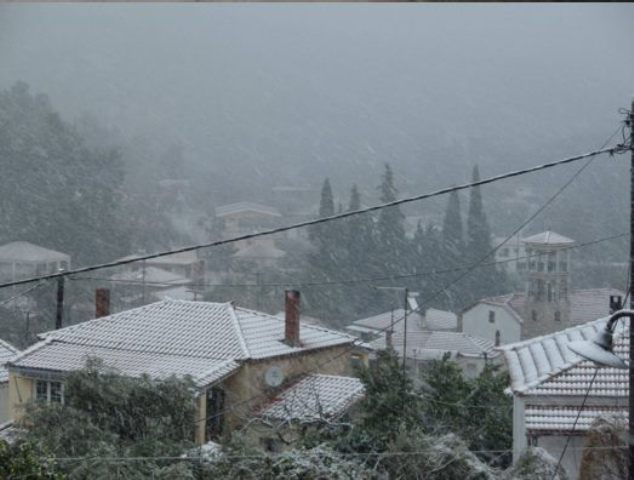 Βασιλικά στην Βόρεια Εύβοια 18 1 2016