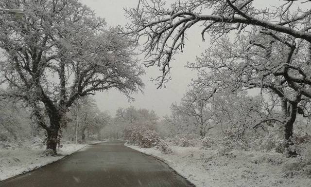 Πάρκο Κουρι στον Αλμυρο, Μαγνησίας 18 1 2016