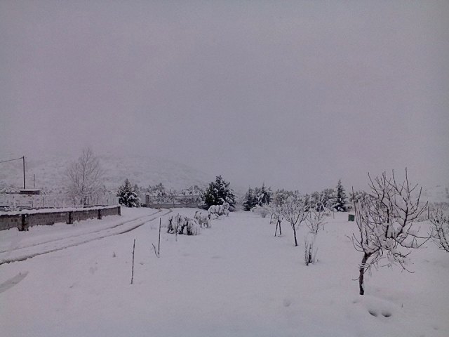 Σεσκλο Βολου σε 100 μετρα υψομετρο 18 1 2016